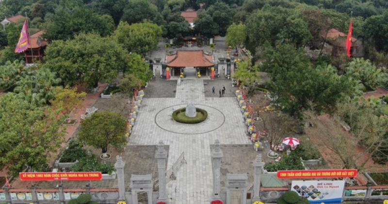 Bat che me den nguoi hoa sanh min mau den bong day hap dan